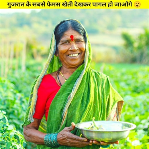 गुजरात के सबसे फेमस खेती देखकर पागल हो जाओगे 😮 #short #viral