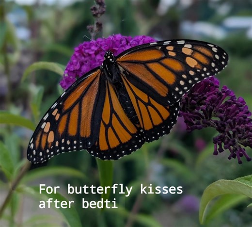 Wilson's Garden Center on Reels