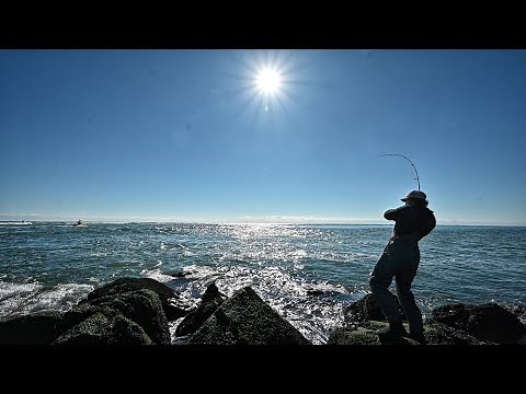 How To Blackfish from shore