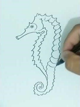 How To Draw SEAHORSE Step by Step