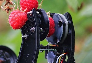 Fruit-picking robots could solve jobs crisis