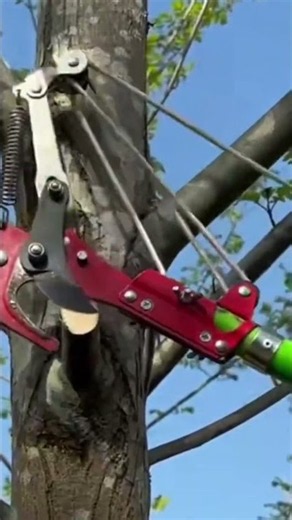 ​High Reach Tree Pruner Tool