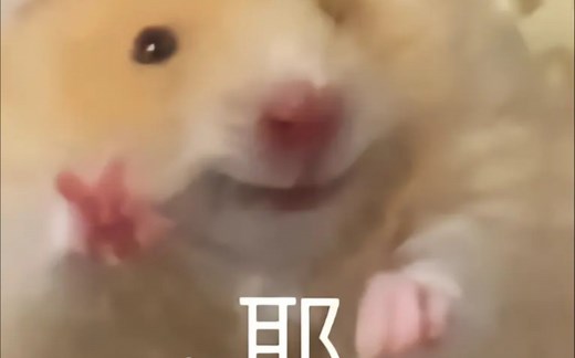 [protobuf]protobuf分析|逆向