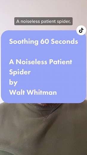 A Noiseless Patient Spider by Walt Whitman