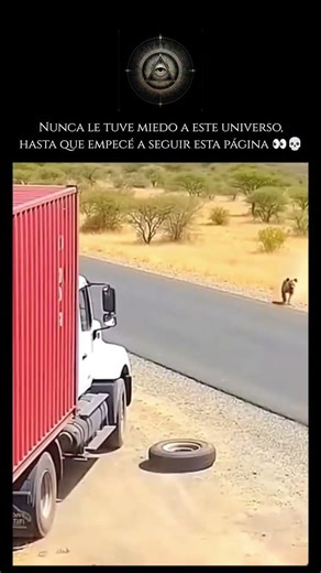La inteligencia canina es un fenómeno complejo que se manifiesta de diversas formas.