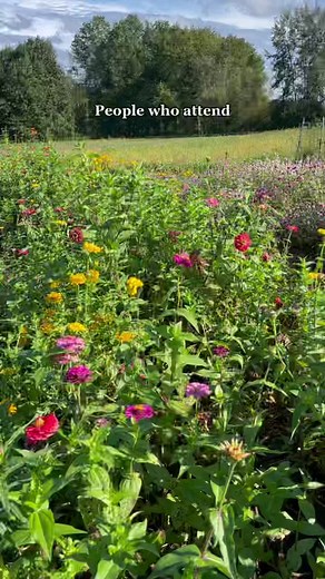 Exploring Amherst College Campus Views