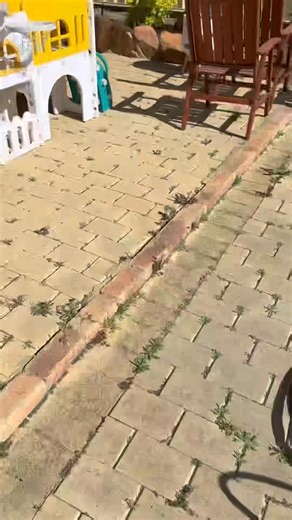 3.9K views · 22 reactions | Called to investigate hissing sound...