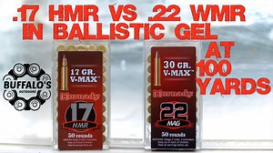 V-MAX BALLISTIC GEL TEST ~ .22 WMR vs .17 HMR - The Reloaders Network