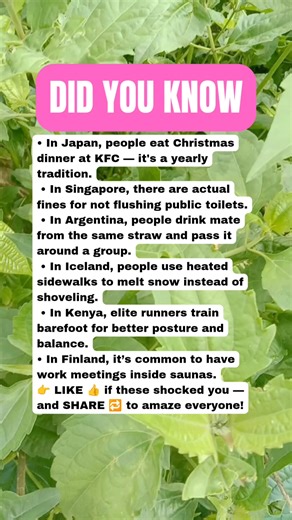 96K views · 774 reactions | Totally Normal Things in Some Countries That Outsiders Can’t Wrap Their Head Around #facts | Explore & Wonder | Facebook