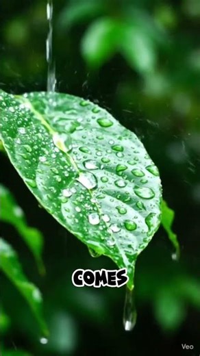 “How Is Water Created? 💧 Science in 3. #scienceliteracy #scienceeducation #scienceontap #science