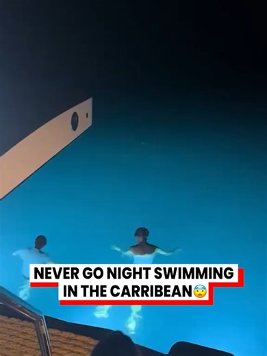 Night Swimming Fears: Will a Shark Attack in My Pool?