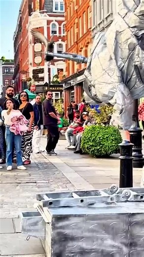 Years of patience brought this moment. Even the pigeons become part of my performance.🕊️