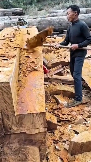 scraping the outer surface of a very large wooden log using a long handled manual wood scraper tool