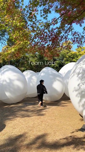Free Things to Do in Kanazawa: A Day Trip Itinerary