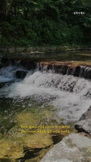 The Clear and Refreshing Donghaksa Valley Flowing from Gyeryongsan Mountain💛