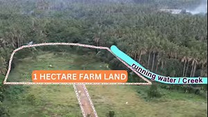 4.9K views · 71 reactions | 1 hectare (10,000 Sqm) , titled Farm land in Lutucan 1, Sariaya Quezon.Very ideal as investment as it is near the soon to be developed bypass road project by san Miguel , ideal also for agricultural business farming, private resort, private farm ,flexible for any ideas. Clean title for only 550 per sqm all in including transfer of title. | Murang Farm Lots sa Batangas, Laguna, Quezon | Facebook