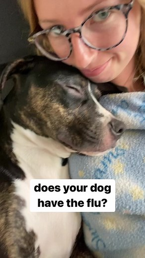 Understanding Dog Flu: Symptoms and Best Practices for Recovery