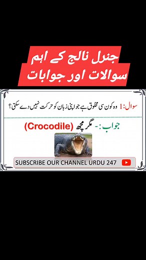 1.9M views · 10K reactions | #general knowledge #facts #Informative #معلومات | Ashfaq Khan | Facebook