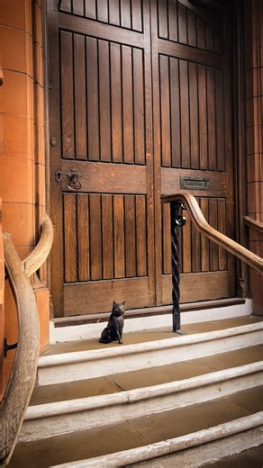 12 reactions · 4 comments | ‍⬛ Spooky Day is here! ️ Explore the museum with some spooky ambience 慄 Show off your costumes and get a sticker!  Complete a Fright at the Museum: Wicked Whiskers trail, earn a tasty treat #Halloween #daysoutwithkids #Museum #FancyDress #Witch #Cats | The Beaney | Facebook