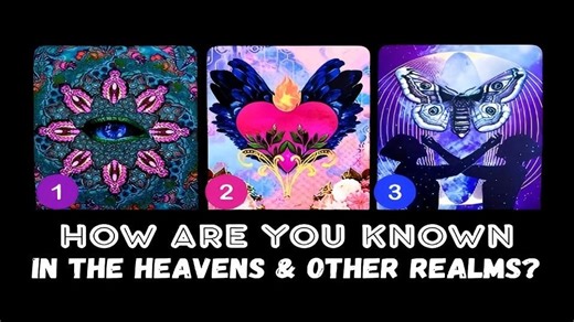 (瑞典NL）高维眼中的你