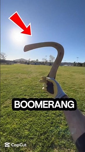 The Boomerang: Ancient Tech That Was Way Ahead of Its Time #boomerang #historydocumentary #shorts