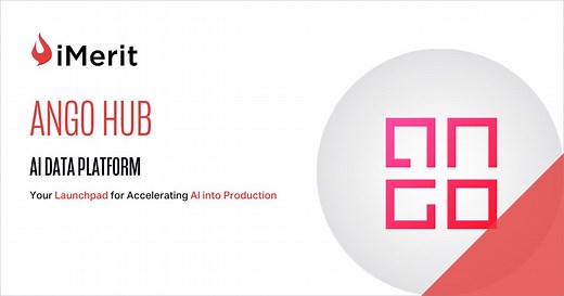 Ango Hub | Data Labeling & Model Fine-Tuning Platform