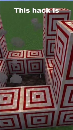 I Bet You Didn't Know This Target Block Secret! 🎯😱 #shorts #minecraft