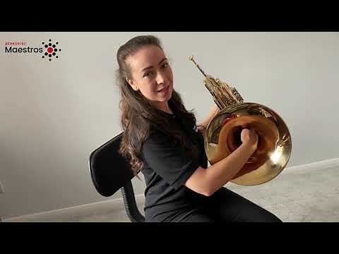 How to hold a French horn