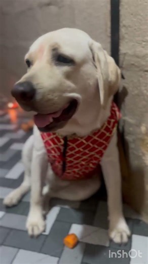 Happiest Birthday Babyyyy 💗