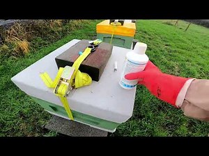How To Apply Api Bioxal Solution To Treat Varroa Mites In The Winter!