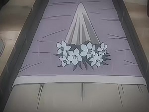 1.3M views · 121K reactions | // In the Stars - Onepiece | Anime Hub | Facebook