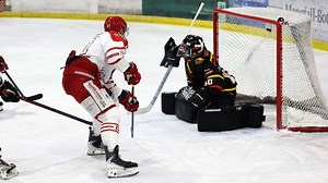 Eishockey-Landesliga: EV Pegnitz klaut Bad Aibling den Heimvorteil - Nordbayerischer Kurier