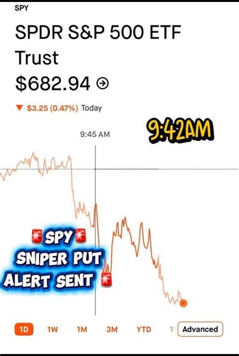 Spy Put 🚨 System Execution (Before → After)