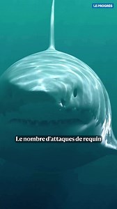 Selon le rapport annuel de l'International shark attack file, 2023 a vu une augmentation (légère) des attaques de requin, avec dix attaques mortelles, sur 69 morsures recensées. La probabilité d'être attaqué par un requin reste toutefois extrêmement faible | Le Progrès | Facebook