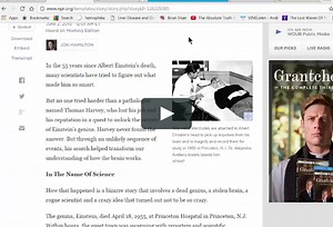 Making Your Brain Smarter with Astrocytes