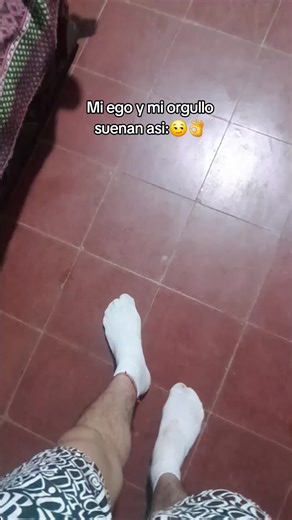 Exploring Ego and Pride Through TikTok Videos