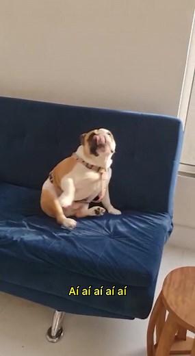 Hilarious AI AI AI Meme Compilation