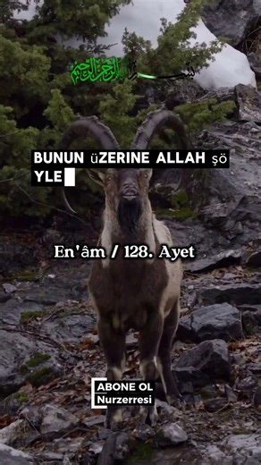 Cinler ve İnsanlar Kıyamette Hesaplaşıyor! 'Birbirimizden Yararlandık' 😱 Sonra Ateş!