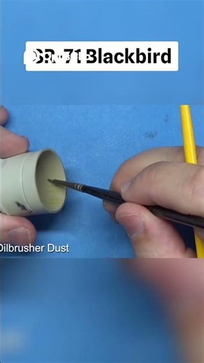 SR-71 Blackbird - 1/48 - Full build - S4