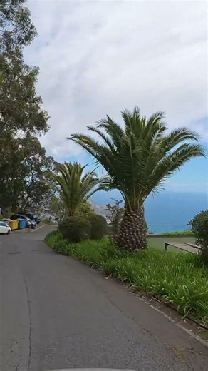 🎬 Ruta en COCHE al MIRADOR MÁS ALTO de MADEIRA 🇵🇹