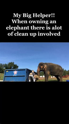 Silkelephant44 on TikTok