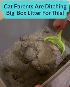 514 reactions · 183 shares | The most innovative solution to your litter box problems. | PrettyLitter | Facebook