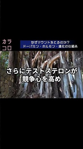 なぜマウントをとるのか？ドーパミン・ホルモン・進化の仕組み 医学的根拠×わかりやすさ 医療の真実を科学的根拠から解説