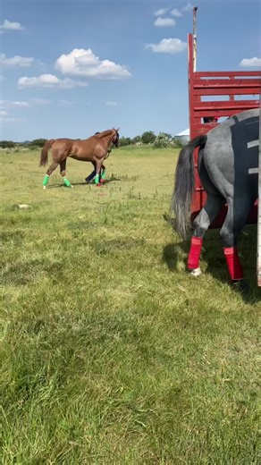 #rancherosmexicanos #lameravrg #carrerasdecaballos🐴 #fyp #asiesmiestilo❤️🌵🤠 #parati #quematierras #cuadra #machito