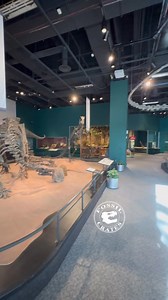 39K views · 1.8K reactions | Exhibits The Science Museum of...