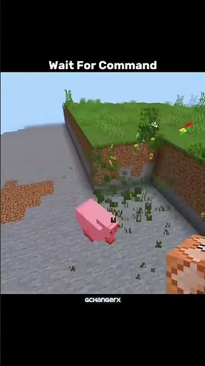 Minecraft Secret Command That Clears Everything 😱 (Must Try!)