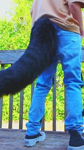 Black Wolf Tail! Realistic Dog Costume and Fursuit Cosplay for Canine Furries! 28 Inches! - Etsy