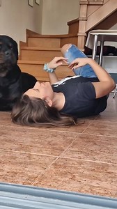 38K views · 3.6K reactions | The most beautiful dog breed in the world  Credits to @buddy_rottweiler25 | Rottweiler Life | Facebook