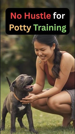 how train dog for potty