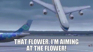 - That flower. - I'm aiming at the flower!